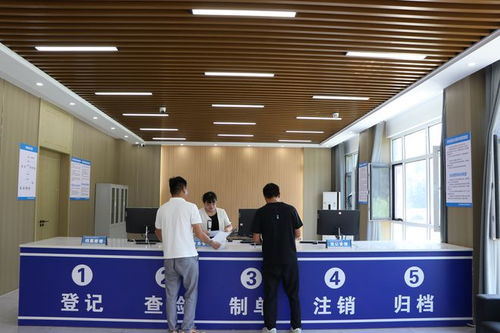 單縣北外環(huán)大型報(bào)廢機(jī)動(dòng)車與舊家電拆解 廢棄電器電子產(chǎn)品處理廠掠影