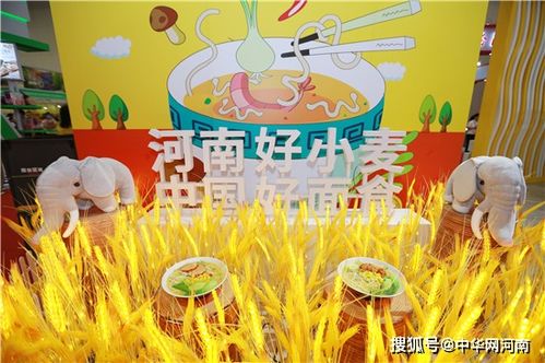 一粒麥子的故事 首屆鄭州食品博覽會白象食品成網紅打卡點