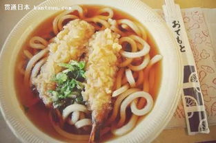 探索日本十大旅游勝地的標志性美食 一粒麥子的風味之旅