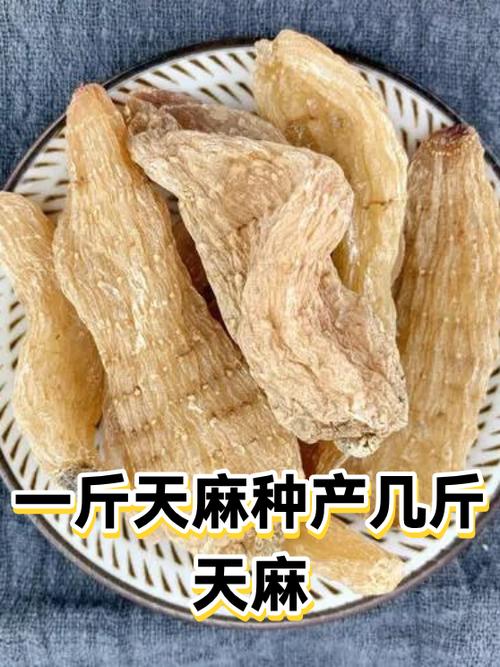 一粒麥子的世紀之問